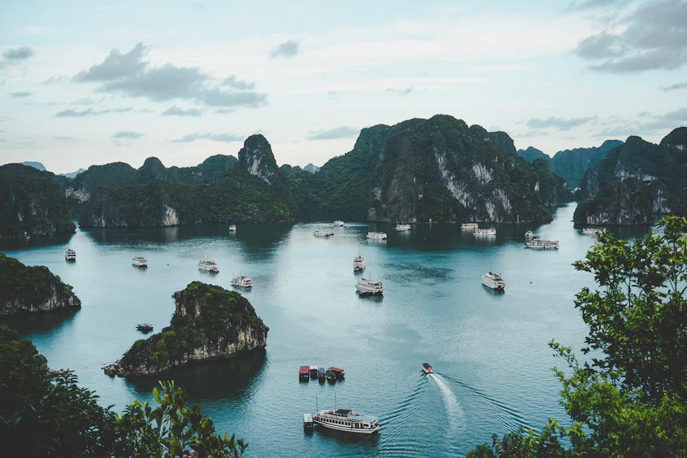 Lush green landscape in Southeast Asia